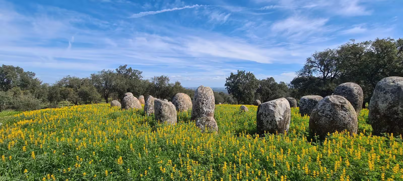 Explore the ancient Cromlech of Almendres surrounded by vibrant wildflowers near Evora, Portugal.