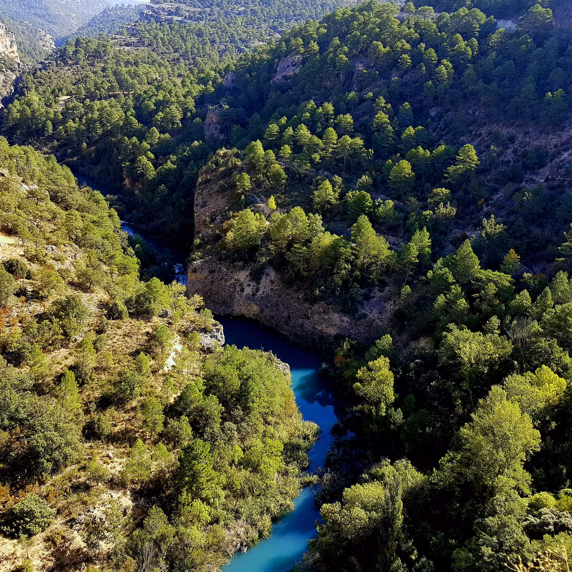 Turquoise river winding through pine forest in Cuenca province, scenic stop on Enchanted City day tour from Madrid