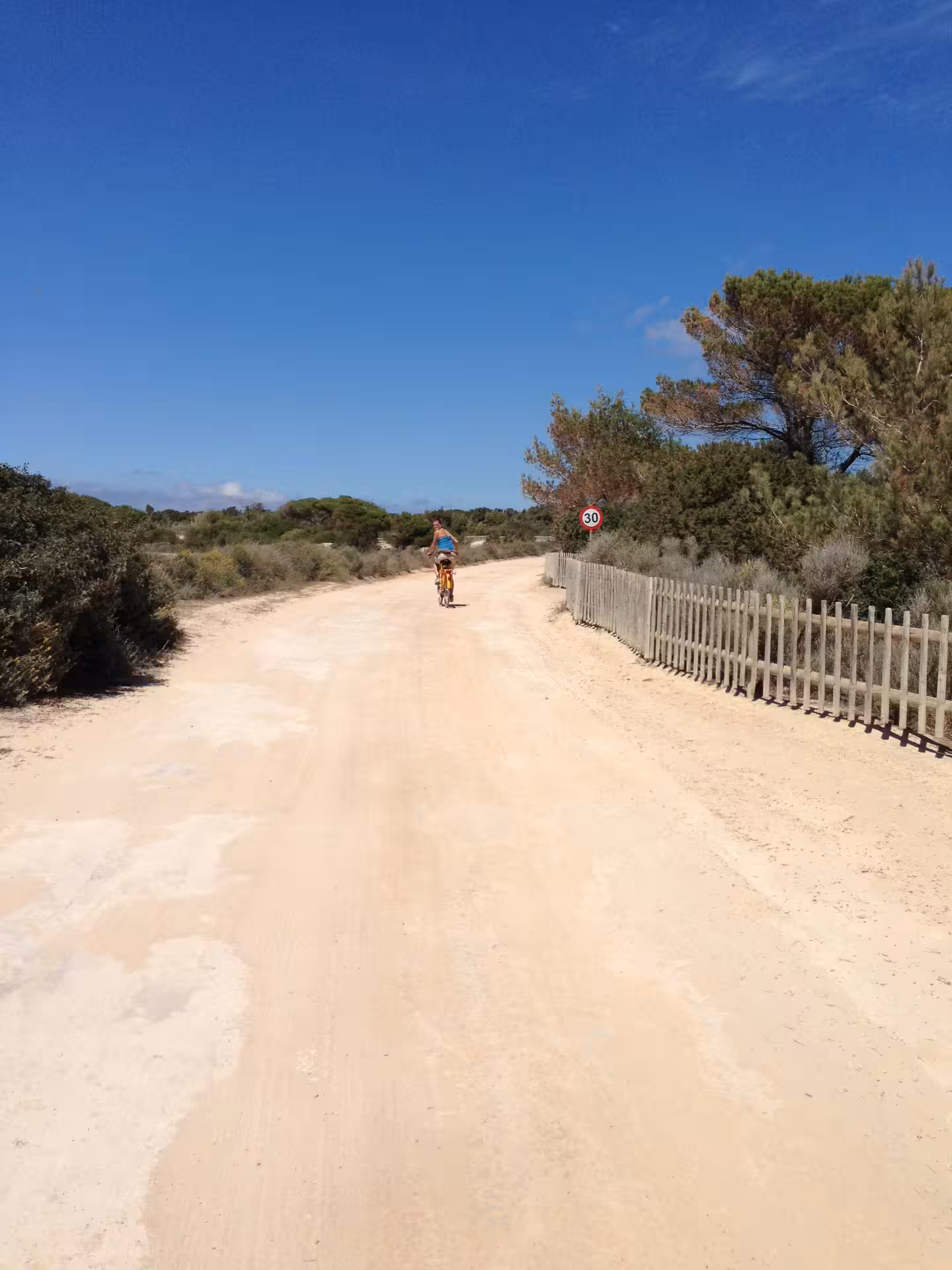 Cyclist riding a sandy path in Formentera on Ibiza day trip by bike with ferry and transfer included