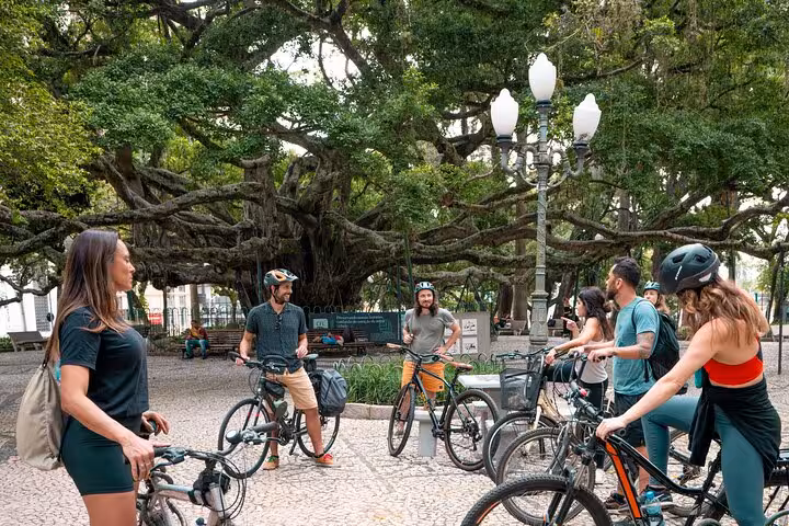 Group of cyclists gather under a large tree in Florianopolis, ready to explore history and street food on a bike tour.