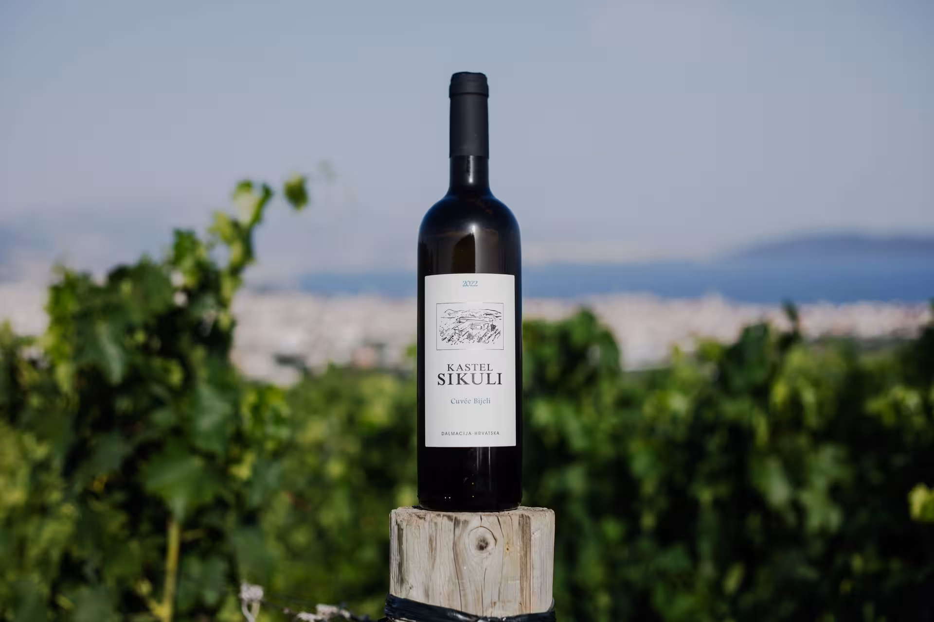 Dalmatian wine tasting near Split featuring Kastel Sikuli bottle in a vineyard with Adriatic views