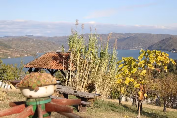 Scenic view of the Danube River from a rustic gazebo near Golubac Fortress, surrounded by lush greenery and hills.