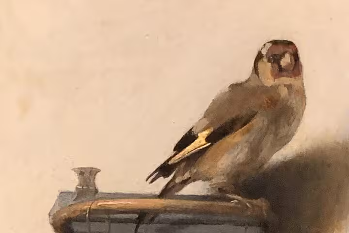 Close-up of a bird painting in Delft, cultural highlight on a private tour from Amsterdam to Kinderdijk and The Hague