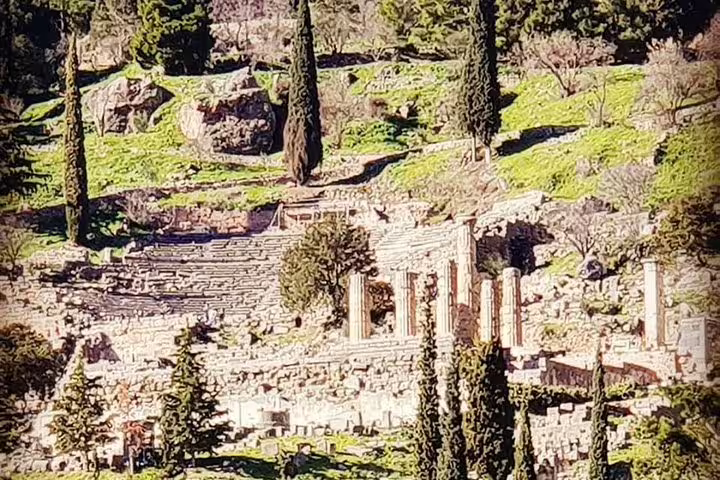 Ancient Delphi ruins and stone terraces among cypress trees, highlight on private transfer from Delphi to Athens