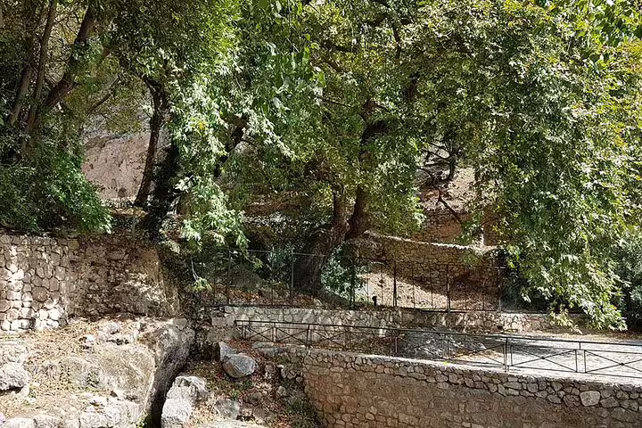 Sacred spring and stone terraces in leafy Delphi sanctuary, stop on Delphi and Thermopylae full day tour