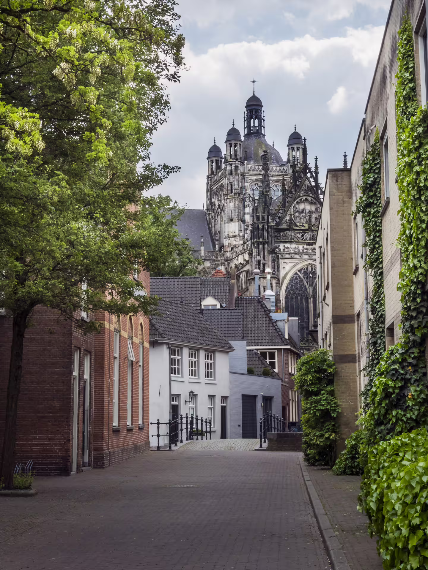 Quiet Den Bosch street with St John’s Cathedral towers, ideal stop on 1-day walking tour audioguide