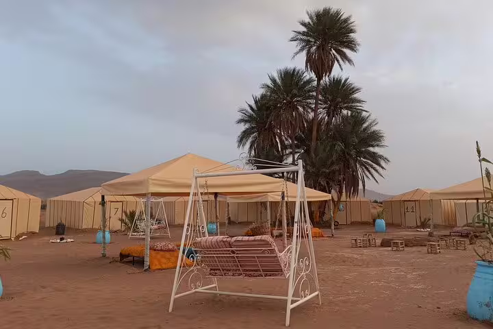 Desert camp tents and palm trees in Zagora, Morocco, on a private 2-day Marrakech to Zagora tour
