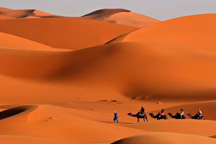 Camel caravan traversing stunning red sand dunes on a desert safari, capturing the essence of adventure and natural beauty.