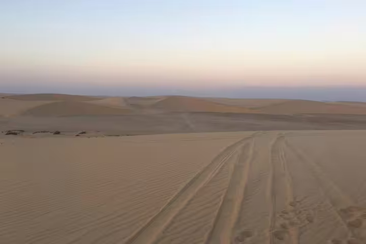 Serene desert landscape with tire tracks at sunrise, perfect for morning desert safari exploration.