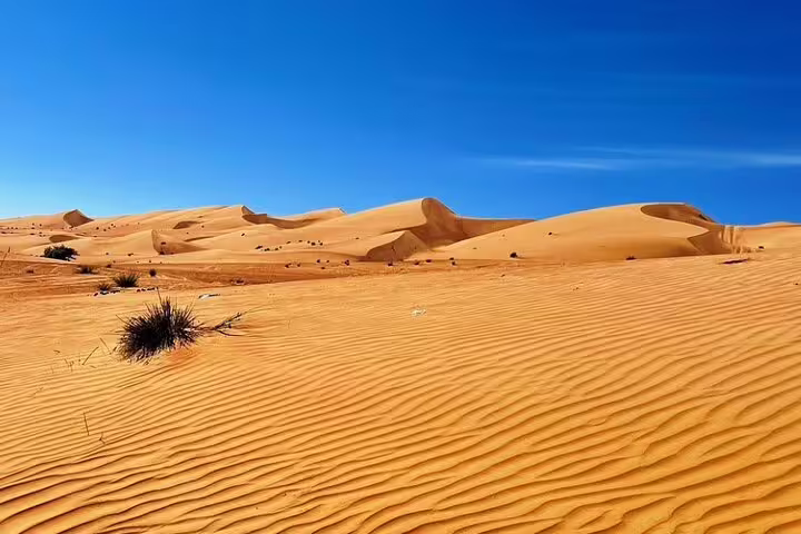 Golden sand dunes under a clear blue sky, highlighting the serene beauty of the desert landscape for sunset camel rides.