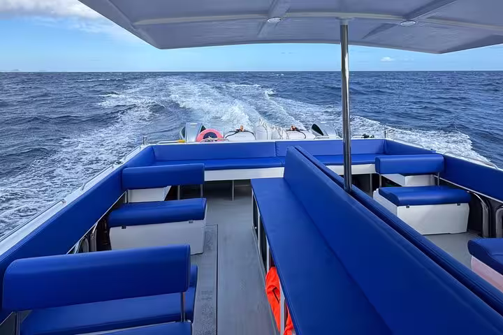 Spacious tour boat with blue seating cruising towards Desertas Island under a clear sky, perfect for ocean adventures.