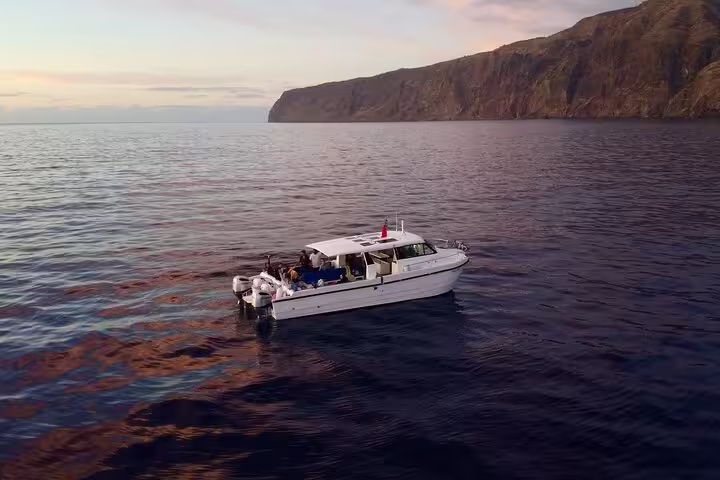 Tour boat cruising near Desertas Islands at sunset, highlighting serene ocean views and captivating coastline.