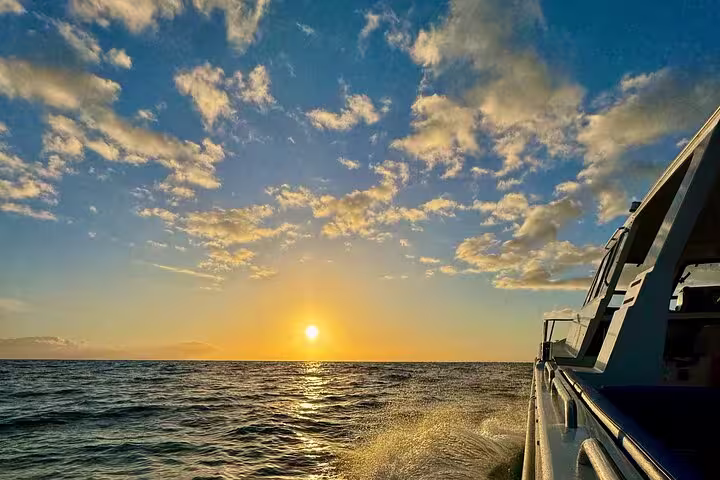 Sail towards a stunning sunset on the Desertas Island tour, featuring a tranquil ocean and captivating cloudscape.
