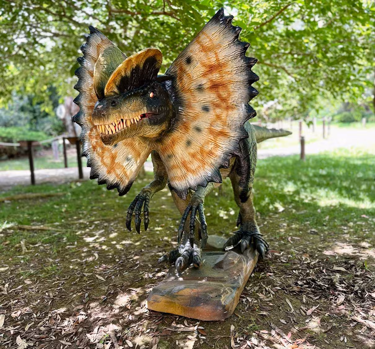 Lifelike Dilophosaurus model with vibrant frill on display under sunlit trees at Porto Conte Park, Alghero.