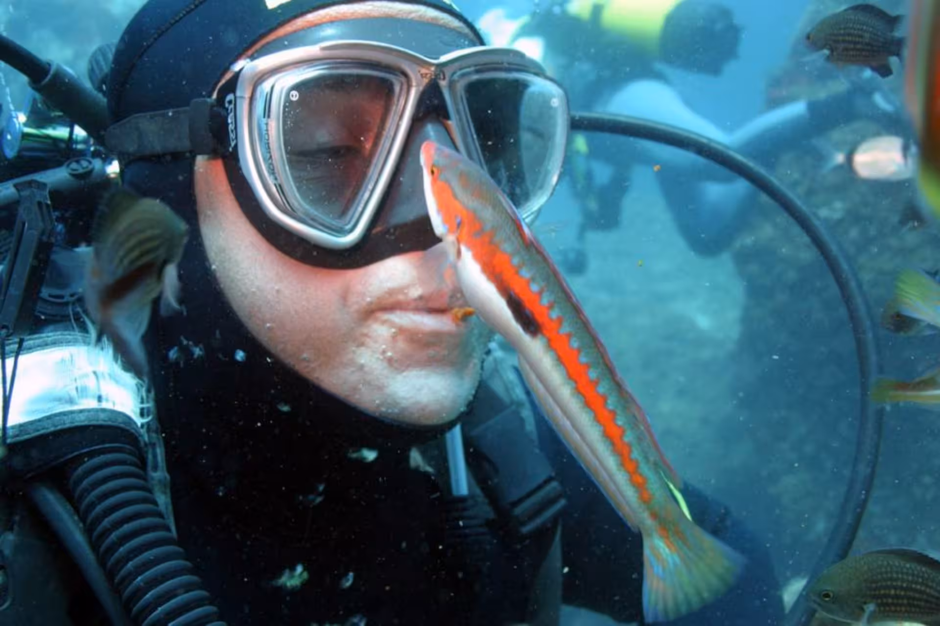 Diver interacts with a colorful fish underwater at Capo Caccia, highlighting Alghero's rich marine biodiversity.