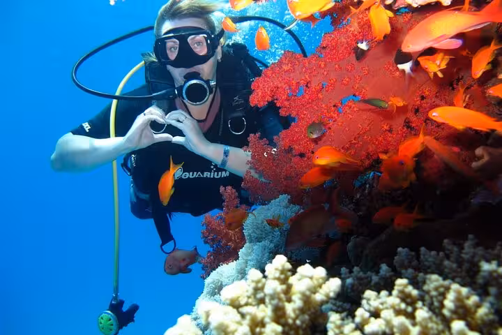 Diver by vibrant coral reef in Ras Mohamed National Park, Red Sea snorkeling and diving on White Island sail