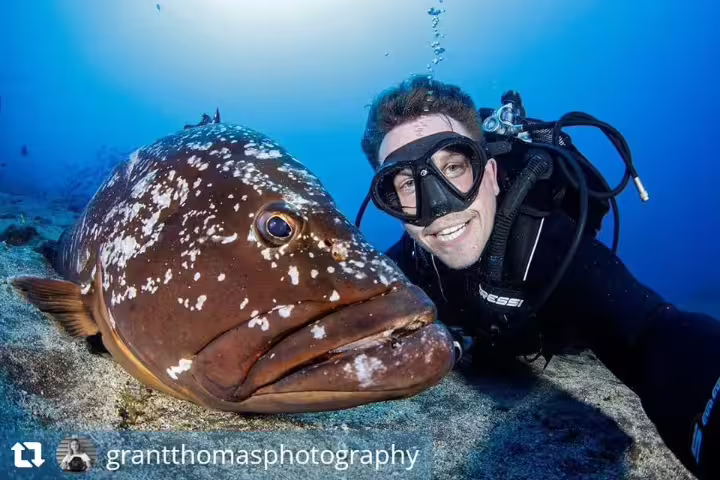 Diver taking a selfie with a large grouper in the clear waters of Garajau Marine Reserve during a thrilling single dive experience.