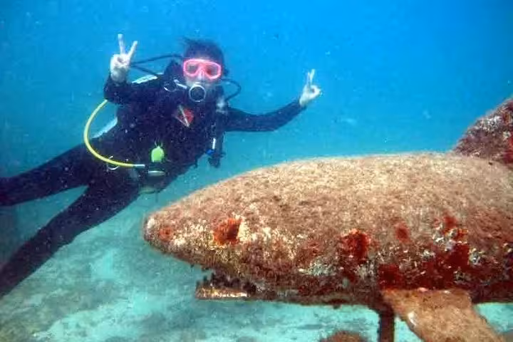 Diver poses underwater with a large rock formation during the Diving Baptism, showcasing vibrant marine adventures.