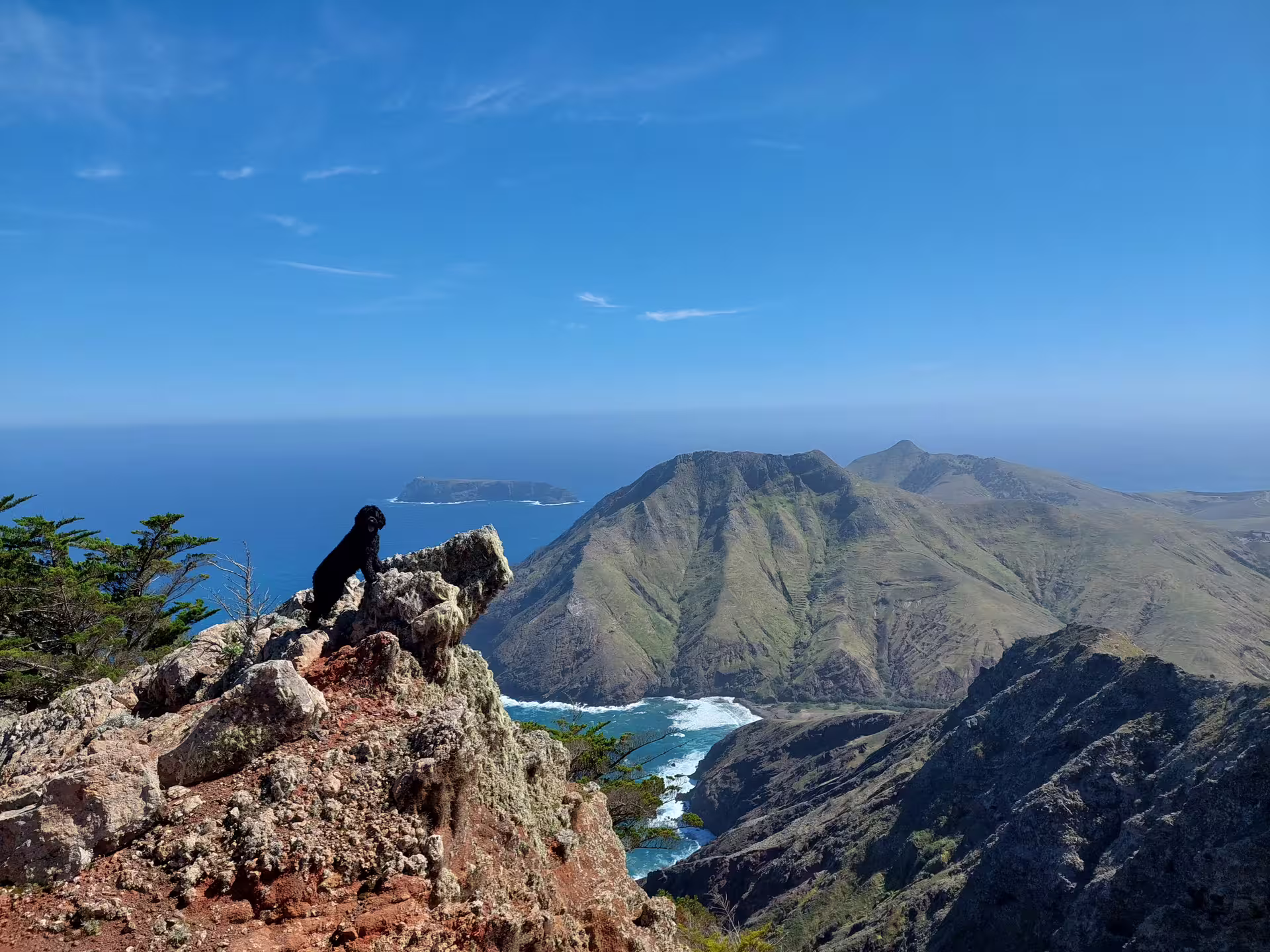 Dog on rocky cliff with ocean and mountains in the background, showcasing a scenic view for a tailored hiking adventure.