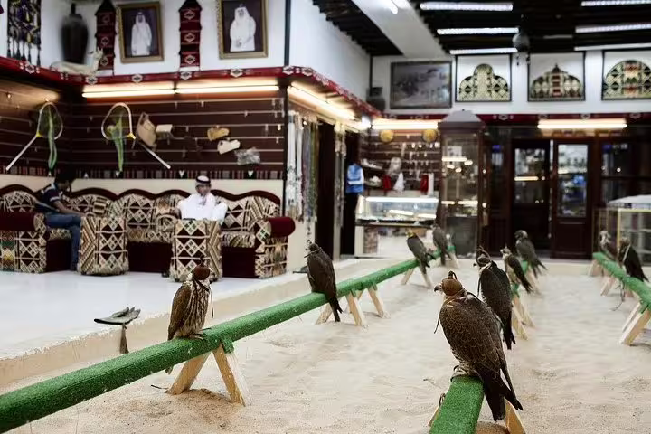 Falcons perched inside a traditional Qatari shop during a Doha private night city tour.