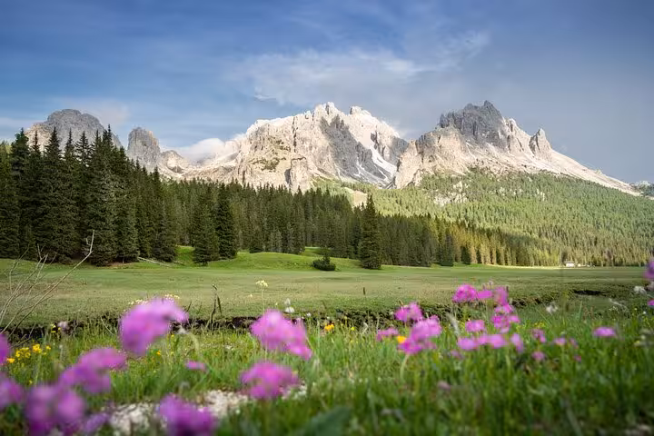 Vibrant wildflowers with the majestic Dolomites in the background, showcasing Italy's natural beauty from Venice.