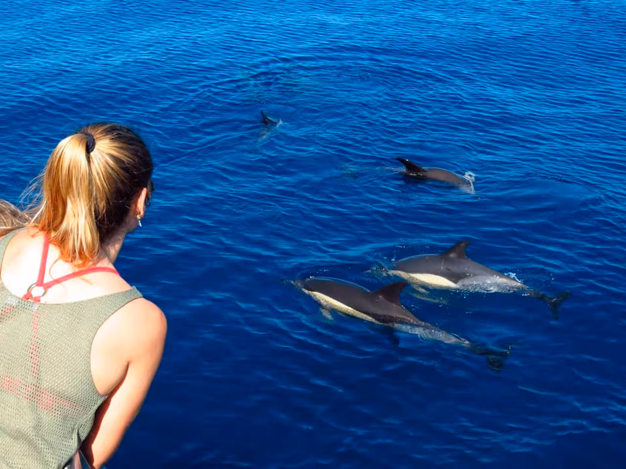 Traveler leans over boat rail watching a playful pod of wild dolphins swim through crystal-clear blue ocean water