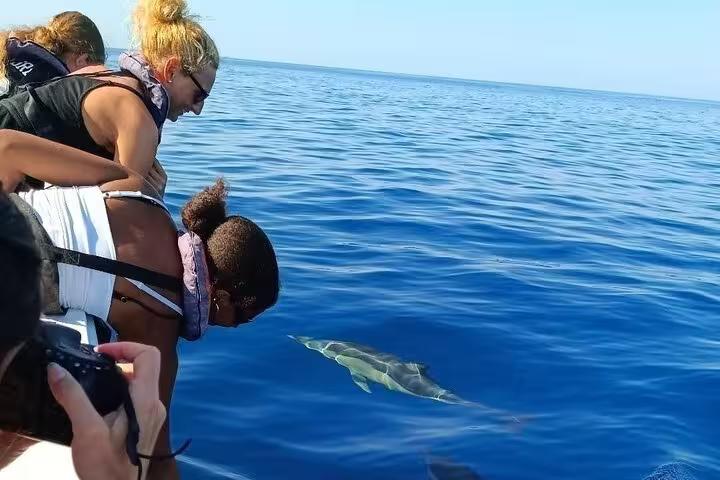 Travelers lean over the boat to watch dolphins in clear water on the Dolphin Watching + 2 Islands Tour