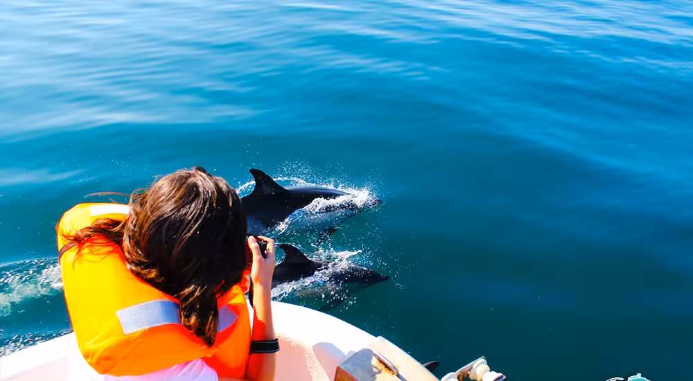 Guest in life jacket photographing dolphins alongside boat on Dolphin Watching tour from Cabanas de Tavira