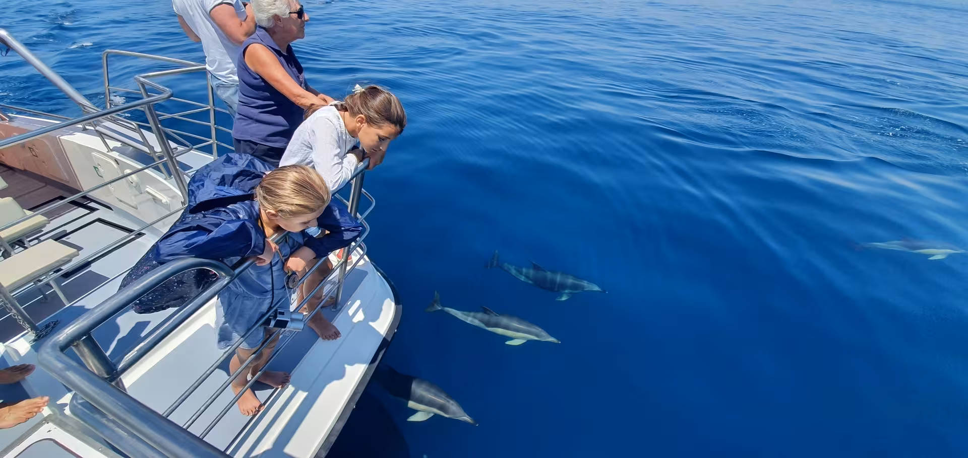 Children and adults leaning over catamaran deck spotting wild dolphins swimming in clear blue ocean waters.