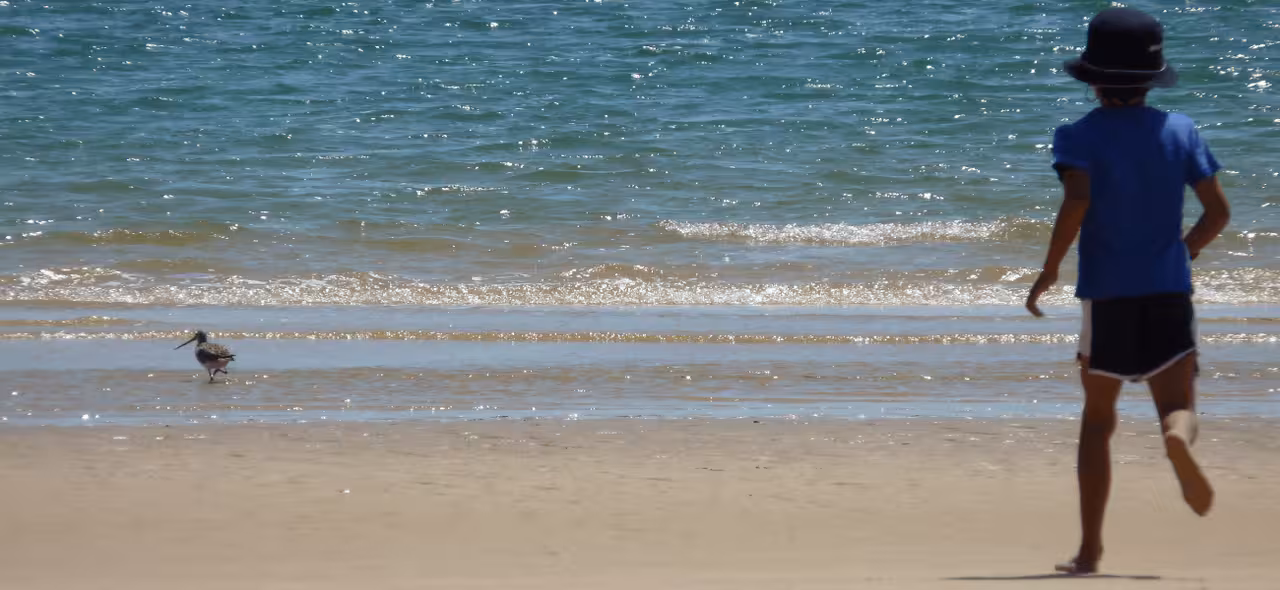 Relaxing beach stop on the Dolphin Watching + 2 Islands Tour with sandy shore and calm sea views