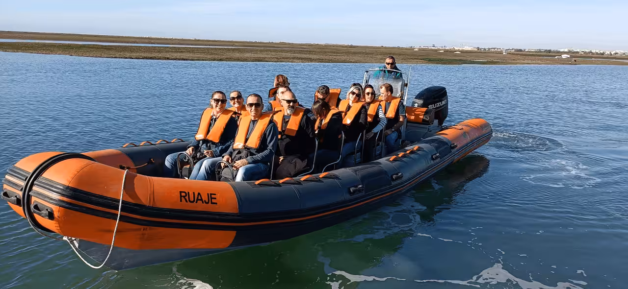 Guests on RIB speedboat for dolphin watching and 2 islands tour, coastal lagoon cruise with life jackets