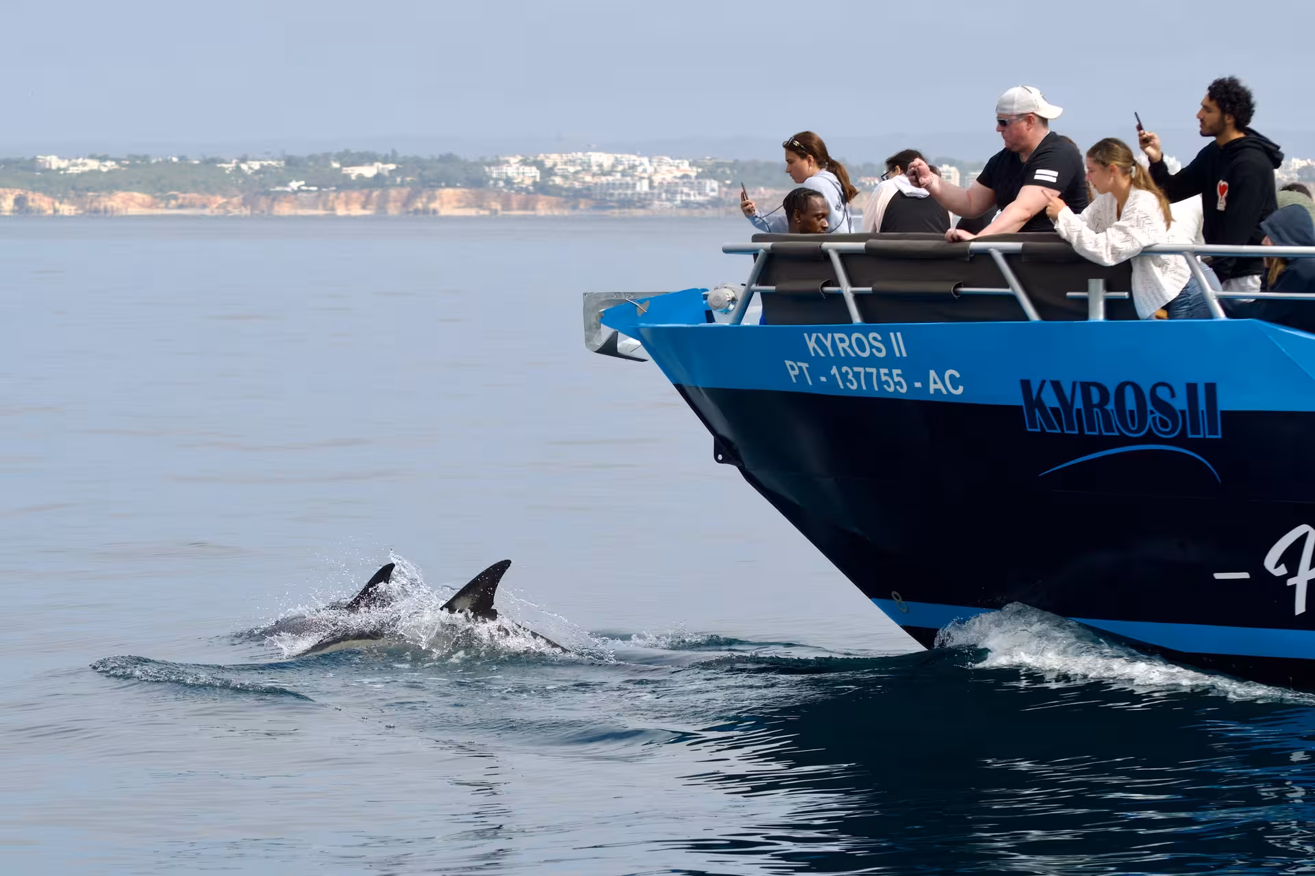 Tourists on a boat observing dolphins in their natural habitat, highlighting a safe and educational experience.