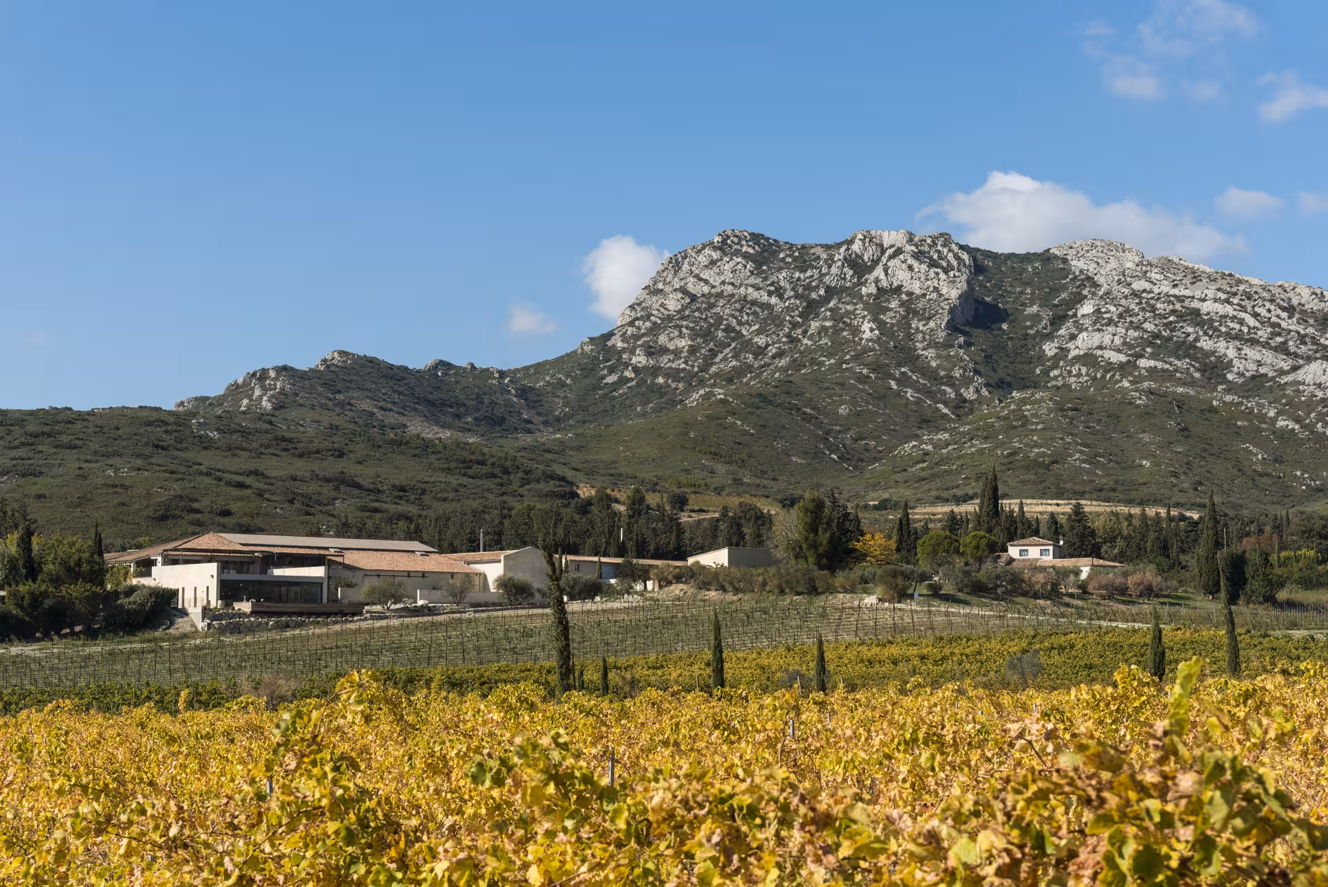 Vignoble du Domaine du Vallon des Glauges au pied des Alpilles, panorama Provence pour visite de cave et dégustation