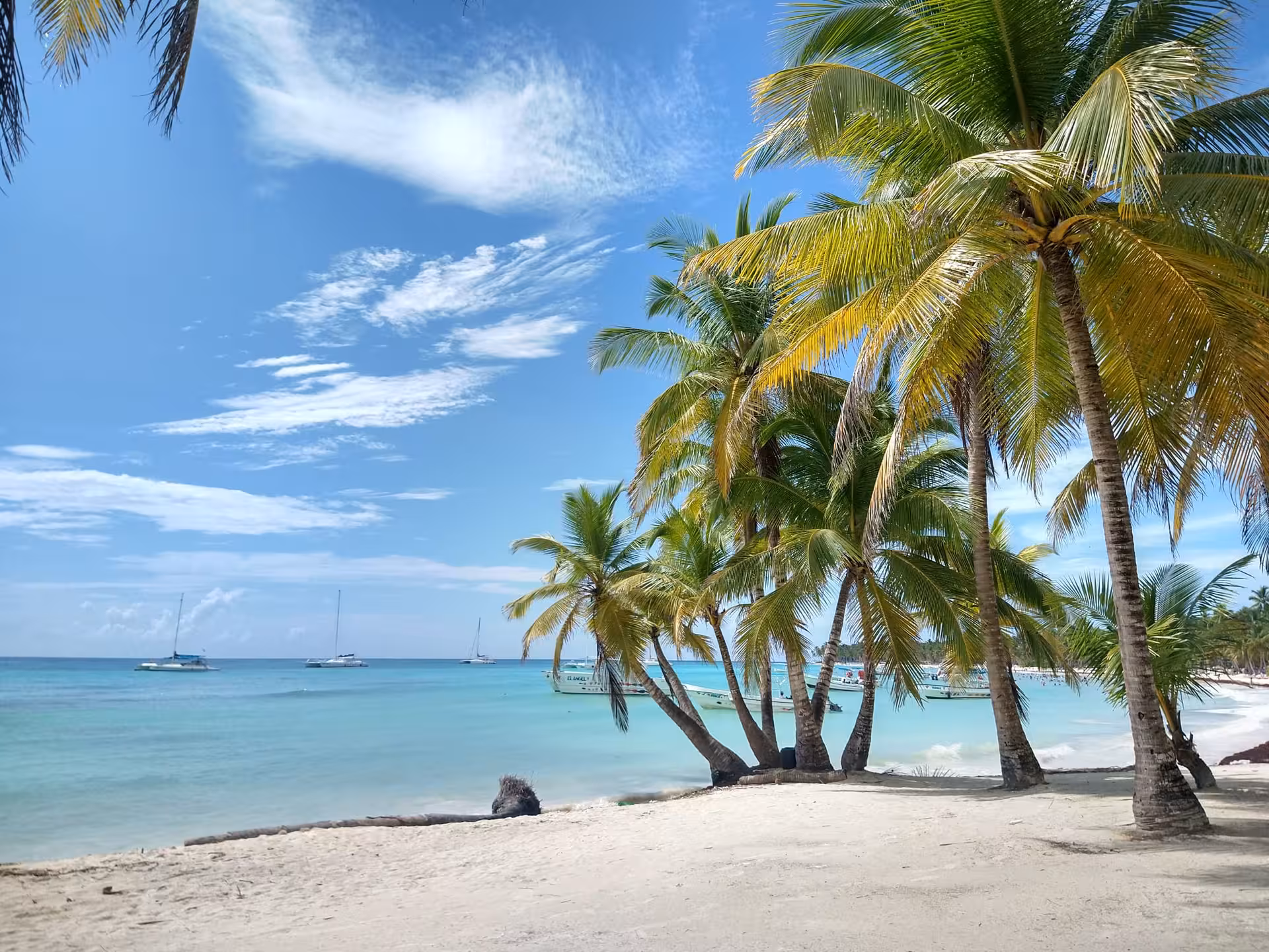 Palm-lined white-sand beach in the Dominican Republic, turquoise Caribbean waters on a 7-day self-discovery journey