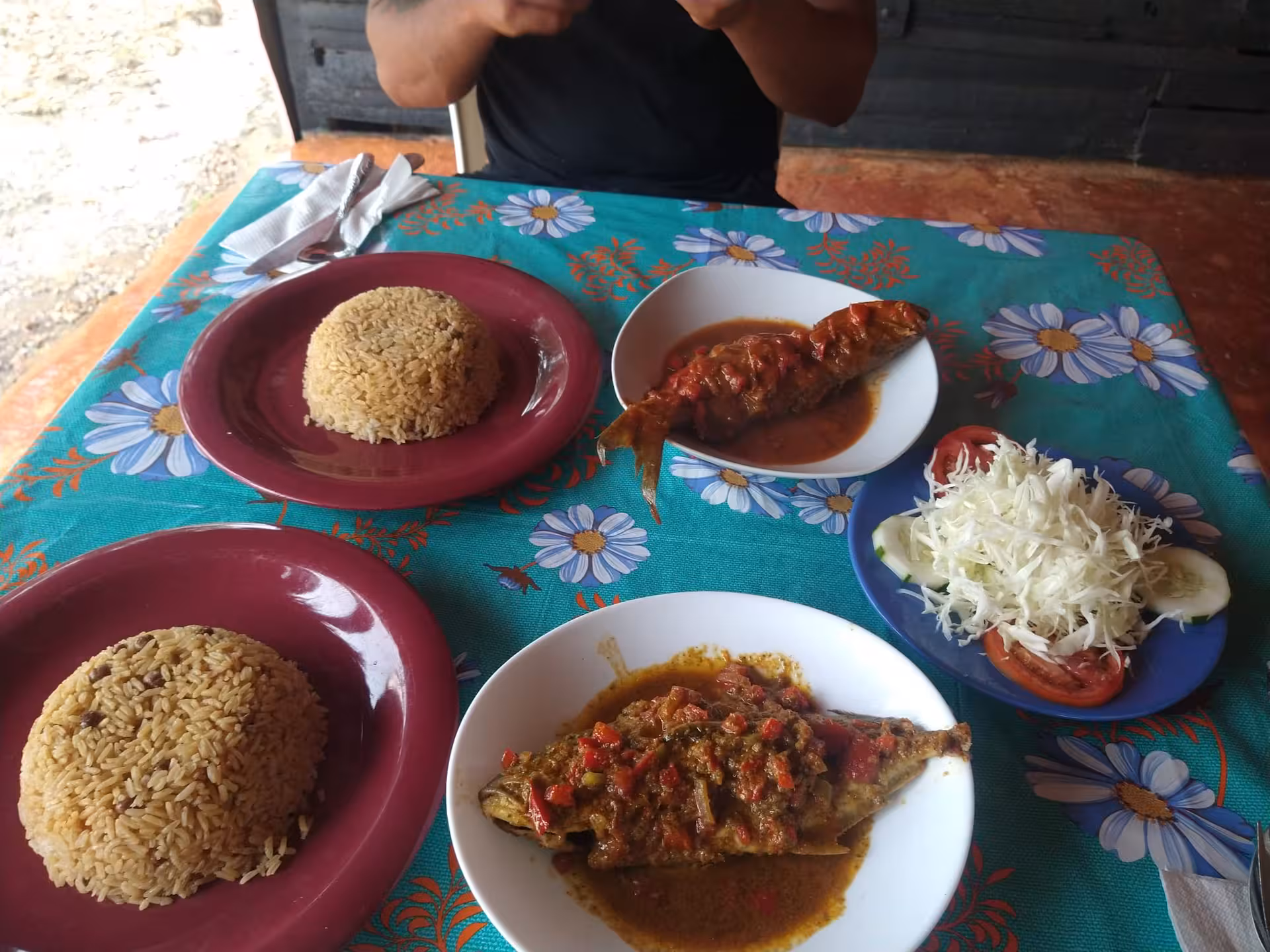 Dominican lunch of stewed fish, moro rice and fresh cabbage salad on a local table during 7-day tour