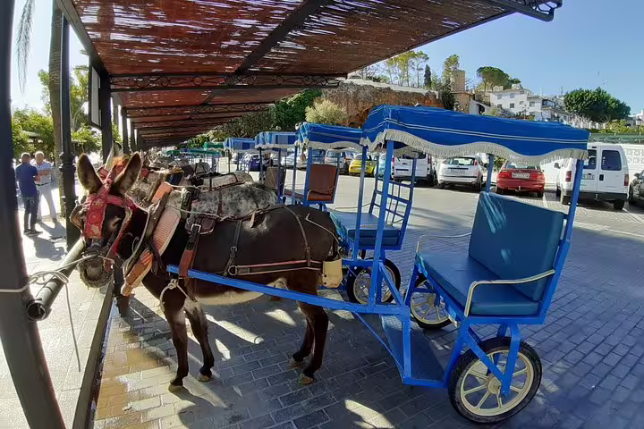 Donkey taxi carriage in Mijas village during Marbella and Puerto Banus group tour with Costa del Sol pick-up