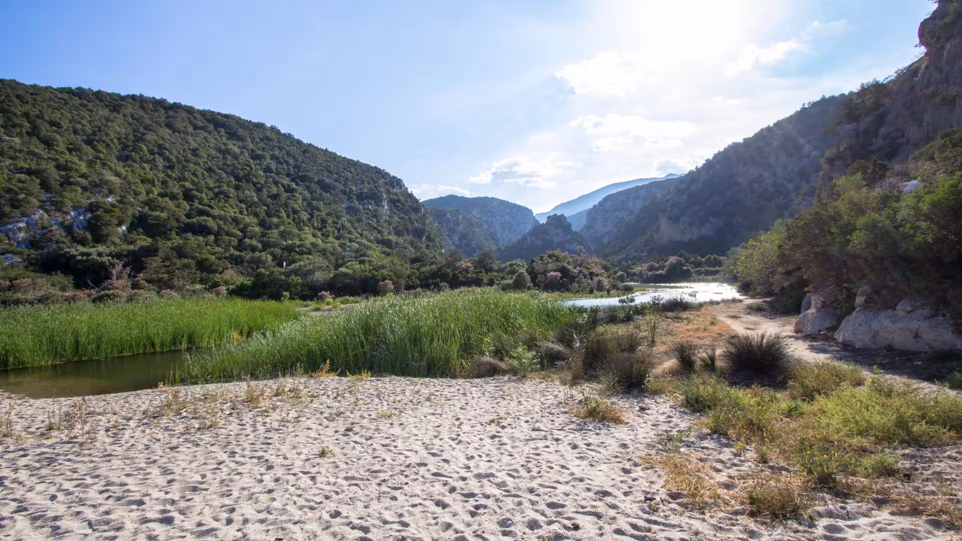 Lush green landscape with mountains and a small river near Cala Luna, perfect for trekking from Dorgali.