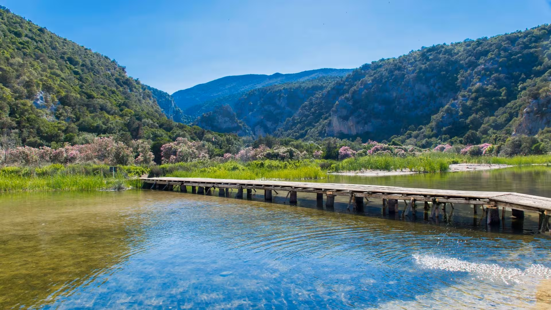 Scenic view of Cala Luna's lush valley with a wooden bridge crossing clear waters, perfect for trekking enthusiasts.