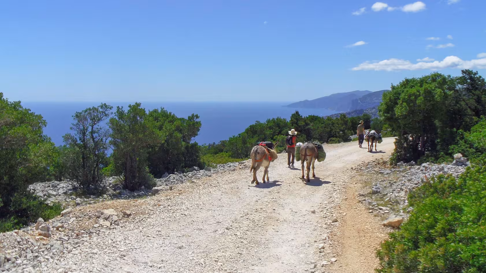 Scenic view of trekkers with donkeys on a coastal path overlooking the Gulf of Orosei in Sardinia.