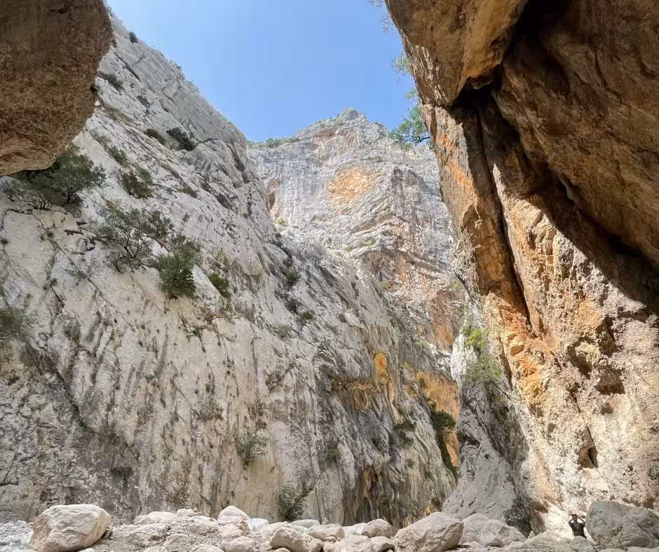 View of Gorropu Canyon's towering cliffs with rugged rock formations and a bright blue sky above.