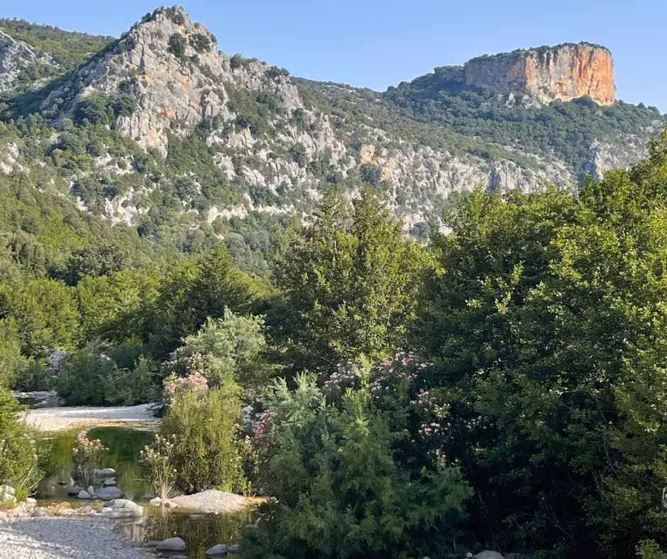 Scenic landscape near Gorropu Canyon featuring lush greenery and rocky hills under a clear blue sky.