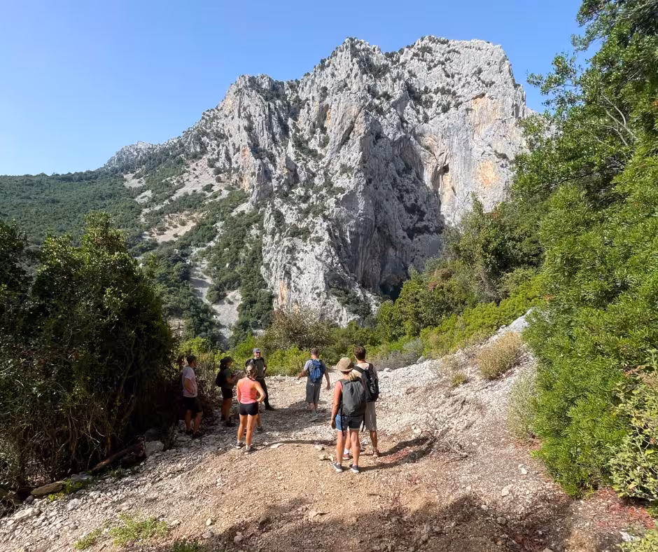 Group of trekkers admiring the expansive view of Gorropu Canyon's rugged cliffs and green landscape near Dorgali.