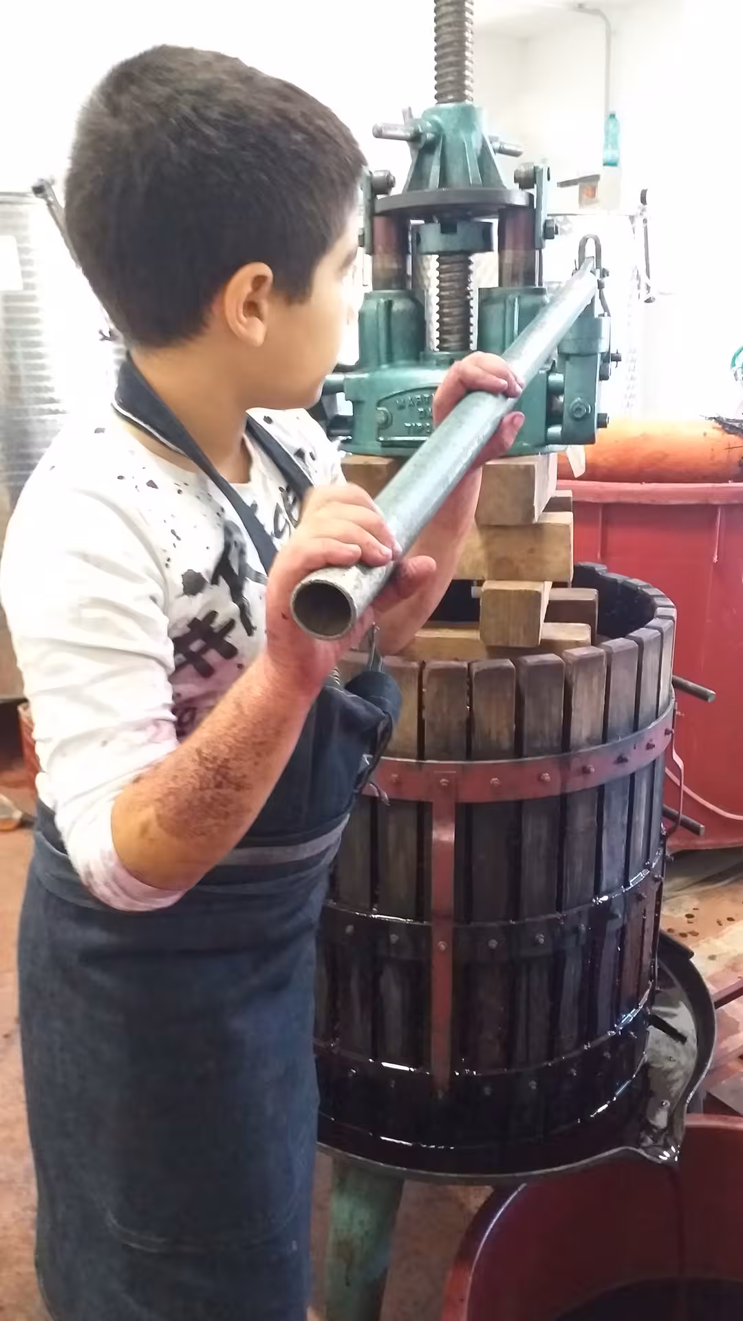 Young participant operating a traditional grape press in a Dorgali winery, experiencing hands-on winemaking on the tour.