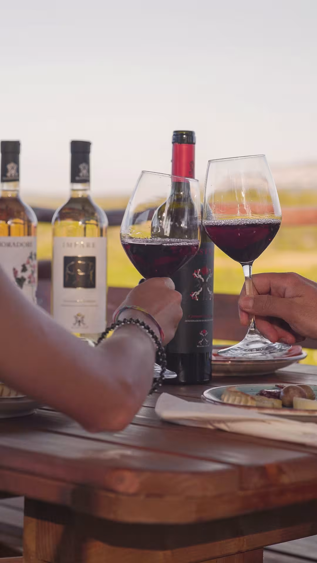 Couple toasting with red wine at a Dorgali winery tasting, surrounded by bottles and scenic vineyard views.