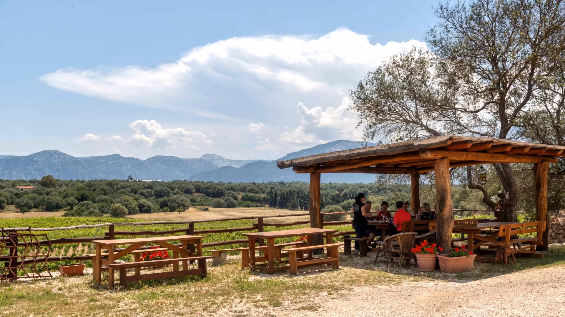 Guests enjoying a wine tasting under a rustic pergola overlooking Dorgali's expansive vineyard landscape.