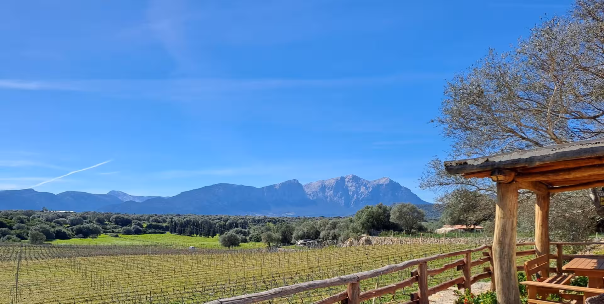 Panoramic view of Dorgali vineyards with mountainous backdrop and rustic terrace, perfect for a serene wine tasting experience.