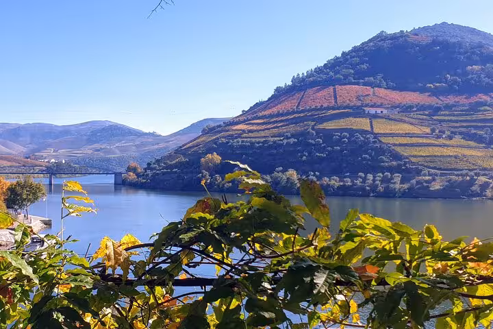 Douro River with terraced vineyards and hills in Portugal, scenic view on a private Douro luxury boat and wine tour