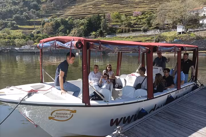 Small-group private Douro boat tour at riverside dock, 2-hour guided cruise with a glass of Port wine