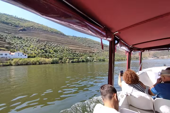 Boat cruise on the Douro River past terraced vineyards, relaxing highlight of a Portugal wine trip