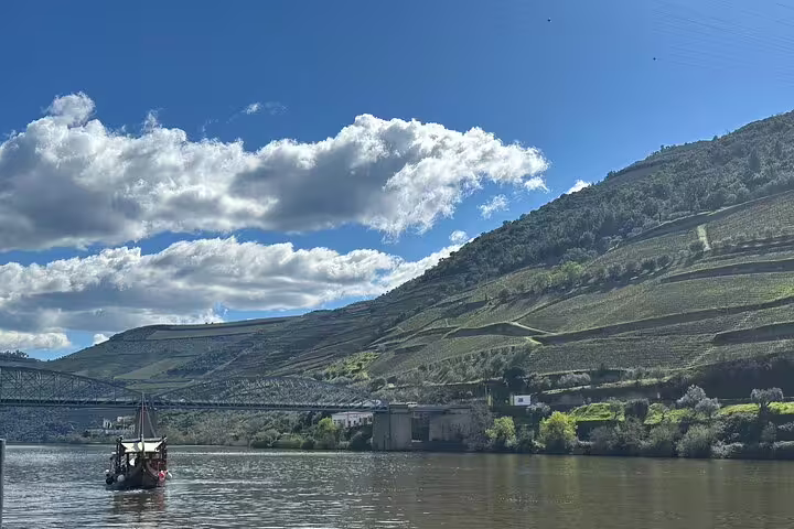 Traditional boat cruising on Douro River with lush vineyard hills, ideal for a wine tasting boat tour.
